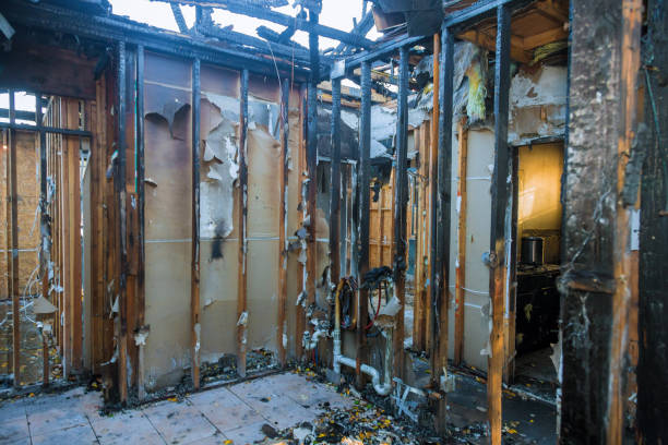 Professional Smoke Damage Removal technician working in Ridgemark, CA